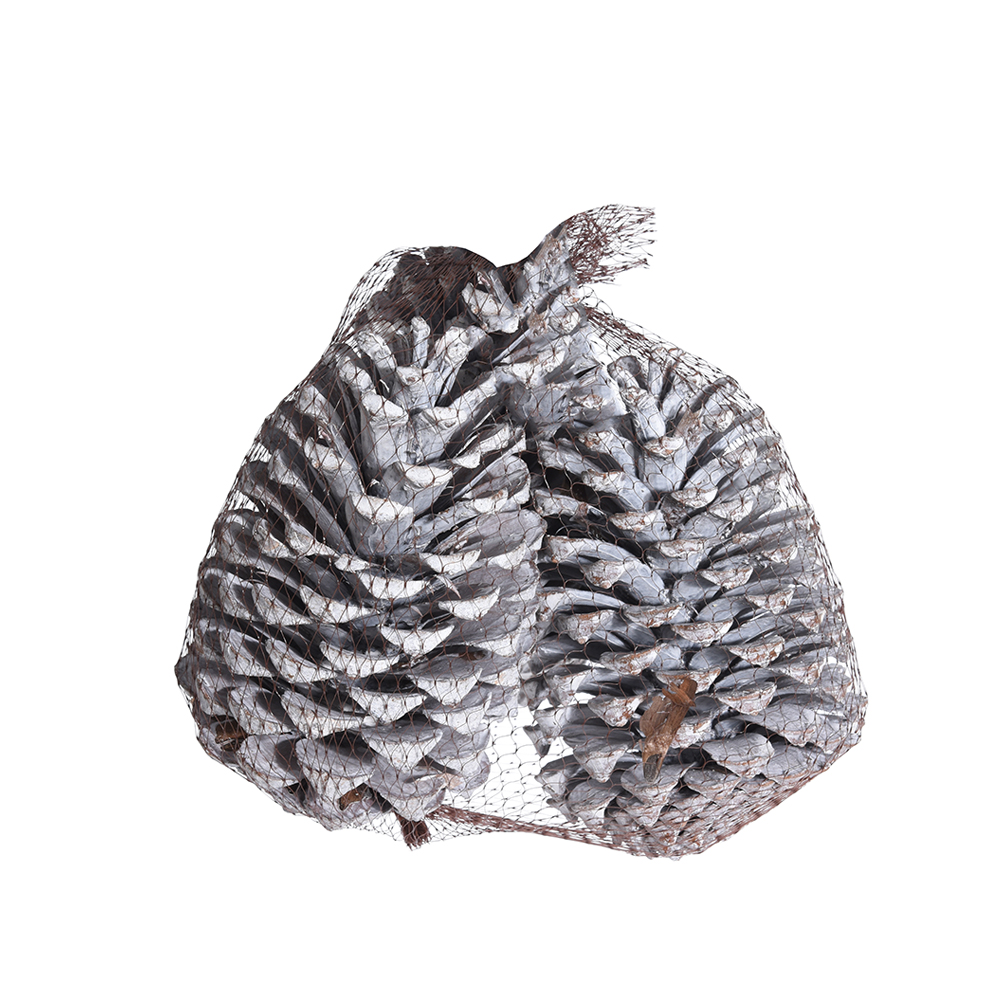 XMAS PINECONE ΚΟΥΚΟΥΝΑΡΙΑ ΦΥΣΙΚΟ 14