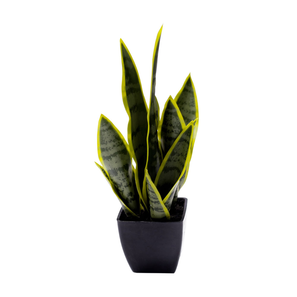 SANSEVIERIA ΦΥΤΟ ΤΕΧΝΗΤΟ ΣΕ ΓΛΑΣΤΡΑ 15x12x32 ΥΦΑΣΜΑ ΠΡΑΣΙΝΟ ΚΙΤΡΙΝΟ ΠΛΑΣΤΙΚΟ