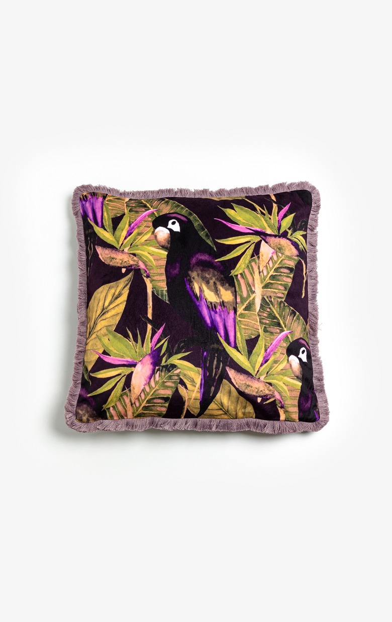 PAPAGALO ΔΙΑΚΟΣΜΗΤΙΚΟ ΜΑΞΙΛΑΡΙ 45x45 ΒΕΛΟΥΔΟ ΠΟΛΥΧΡΩΜΟ