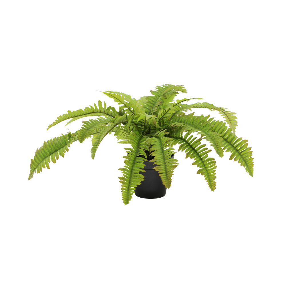 BOSTON FERN ΦΥΤΟ ΤΕΧΝΗΤΟ ΣΕ ΓΛΑΣΤΡΑ 36 POLYESTER ΠΡΑΣΙΝΟ PE/PP