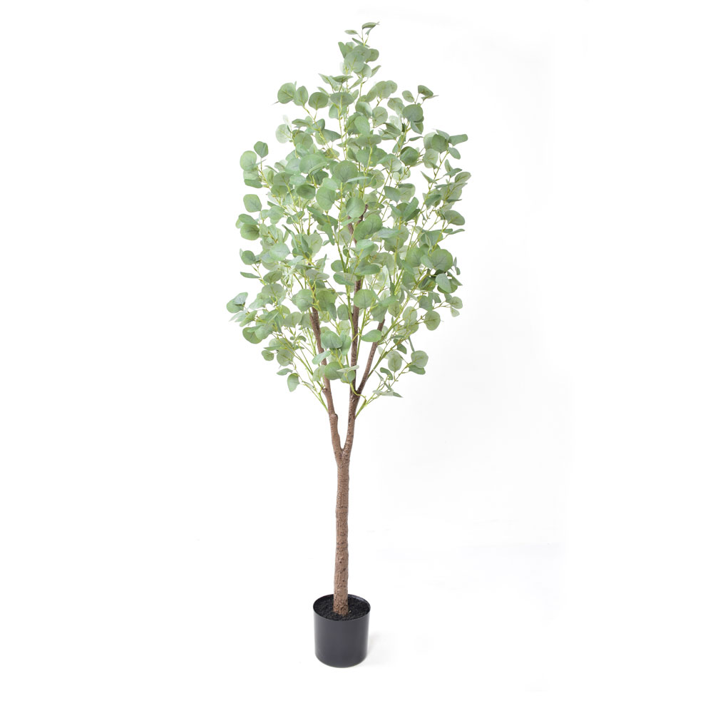 SILVER DOLLAR EUCALYPTUS ΔΕΝΤΡΟ ΤΕΧΝΗΤΟ ΣΕ ΓΛΑΣΤΡΑ 180 PE ΠΡΑΣΙΝΟ ΜΕΤΑΞΩΤΟ ΥΦΑΣΜΑ