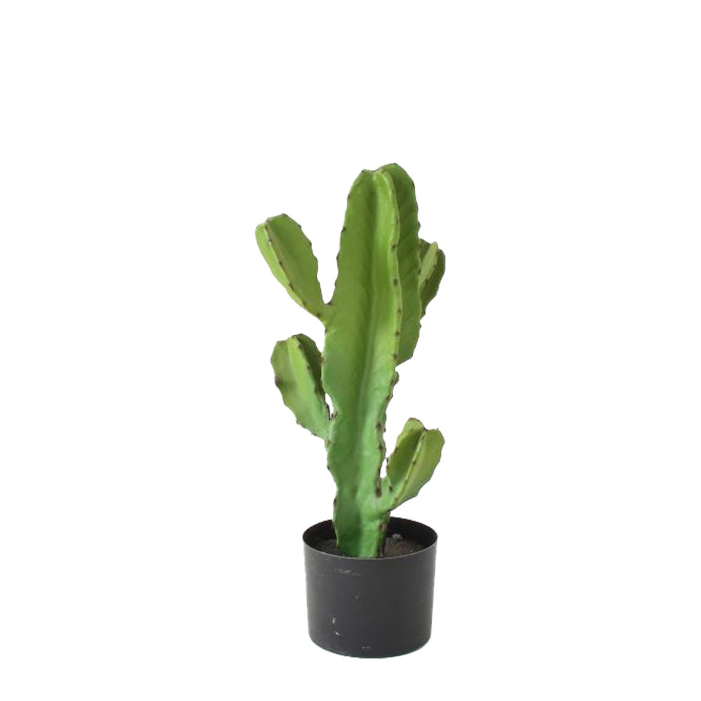 CANDELABRA CACTUS ΦΥΤΟ ΤΕΧΝΗΤΟ ΣΕ ΓΛΑΣΤΡΑ 55 PU ΠΡΑΣΙΝΟ