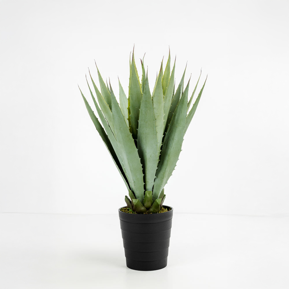 AGAVE ΦΥΤΟ ΤΕΧΝΗΤΟ ΣΕ ΓΛΑΣΤΡΑ 58 PVC ΠΡΑΣΙΝΟ ΜΑΥΡΟ ΤΣΙΜΕΝΤΟ