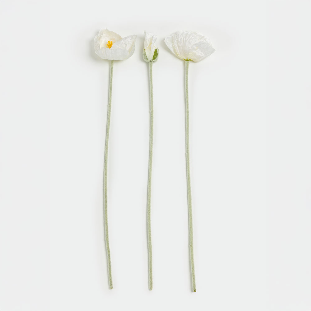 POPPY ΛΟΥΛΟΥΔΙ ΤΕΧΝΗΤΟ 61 POLYESTER ΜΠΕΖ