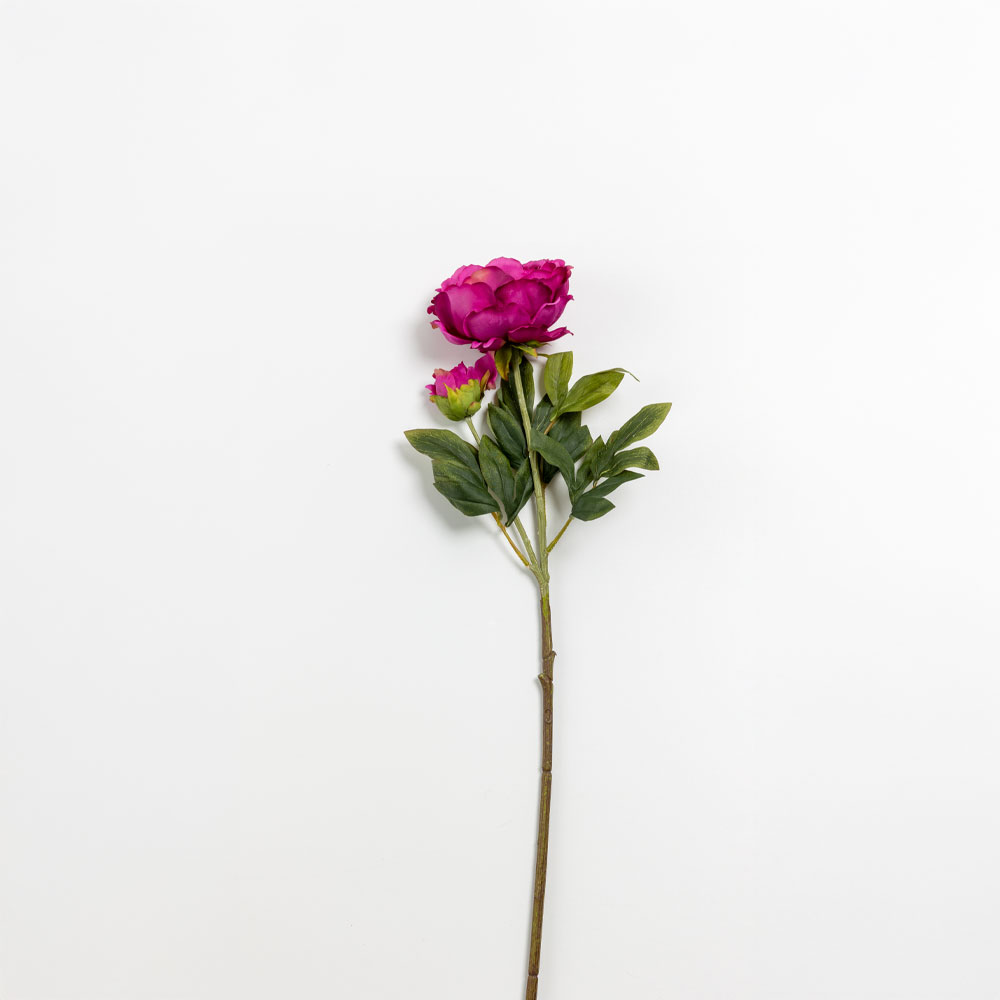 KATE PEONY ΛΟΥΛΟΥΔΙ ΤΕΧΝΗΤΟ 67 POLYESTER ΦΟΥΞΙΑ ΠΡΑΣΙΝΟ