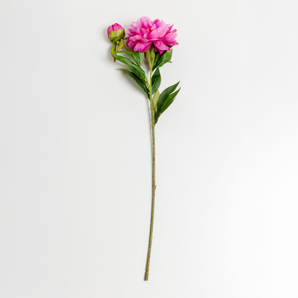 PEONY ΛΟΥΛΟΥΔΙ ΤΕΧΝΗΤΟ 67 POLYESTER ΦΟΥΞΙΑ ΠΡΑΣΙΝΟ