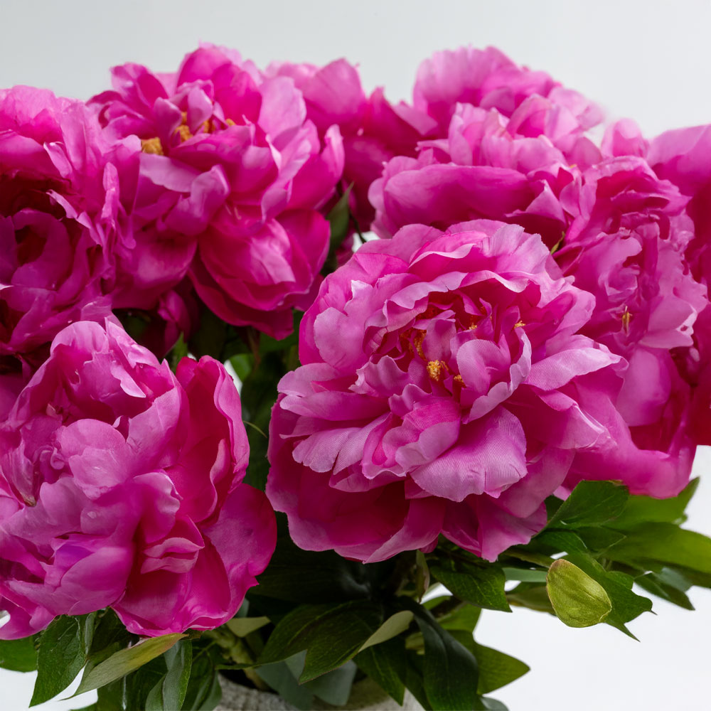 PEONY ΛΟΥΛΟΥΔΙ ΤΕΧΝΗΤΟ 67 POLYESTER ΦΟΥΞΙΑ ΠΡΑΣΙΝΟ
