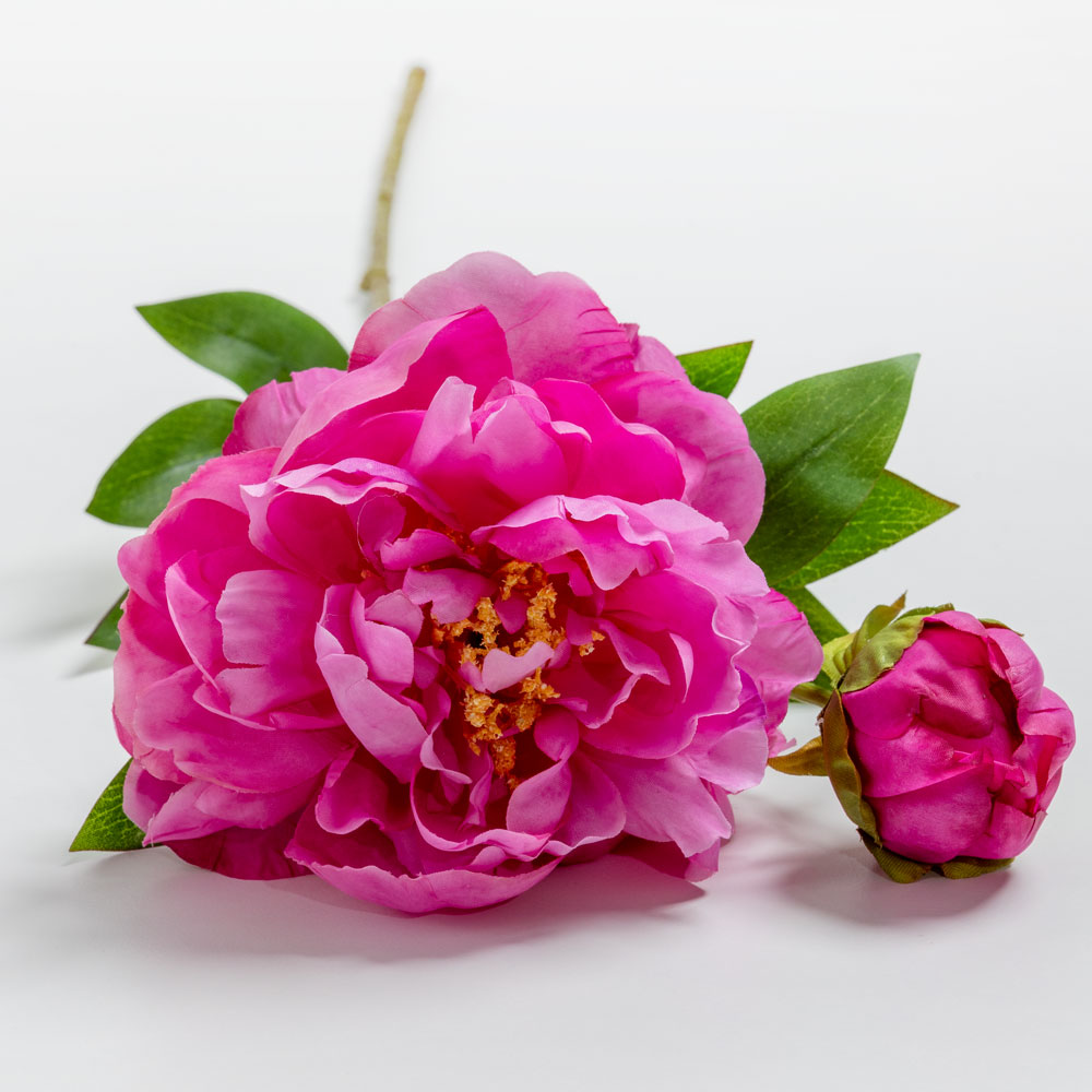PEONY ΛΟΥΛΟΥΔΙ ΤΕΧΝΗΤΟ 67 POLYESTER ΦΟΥΞΙΑ ΠΡΑΣΙΝΟ