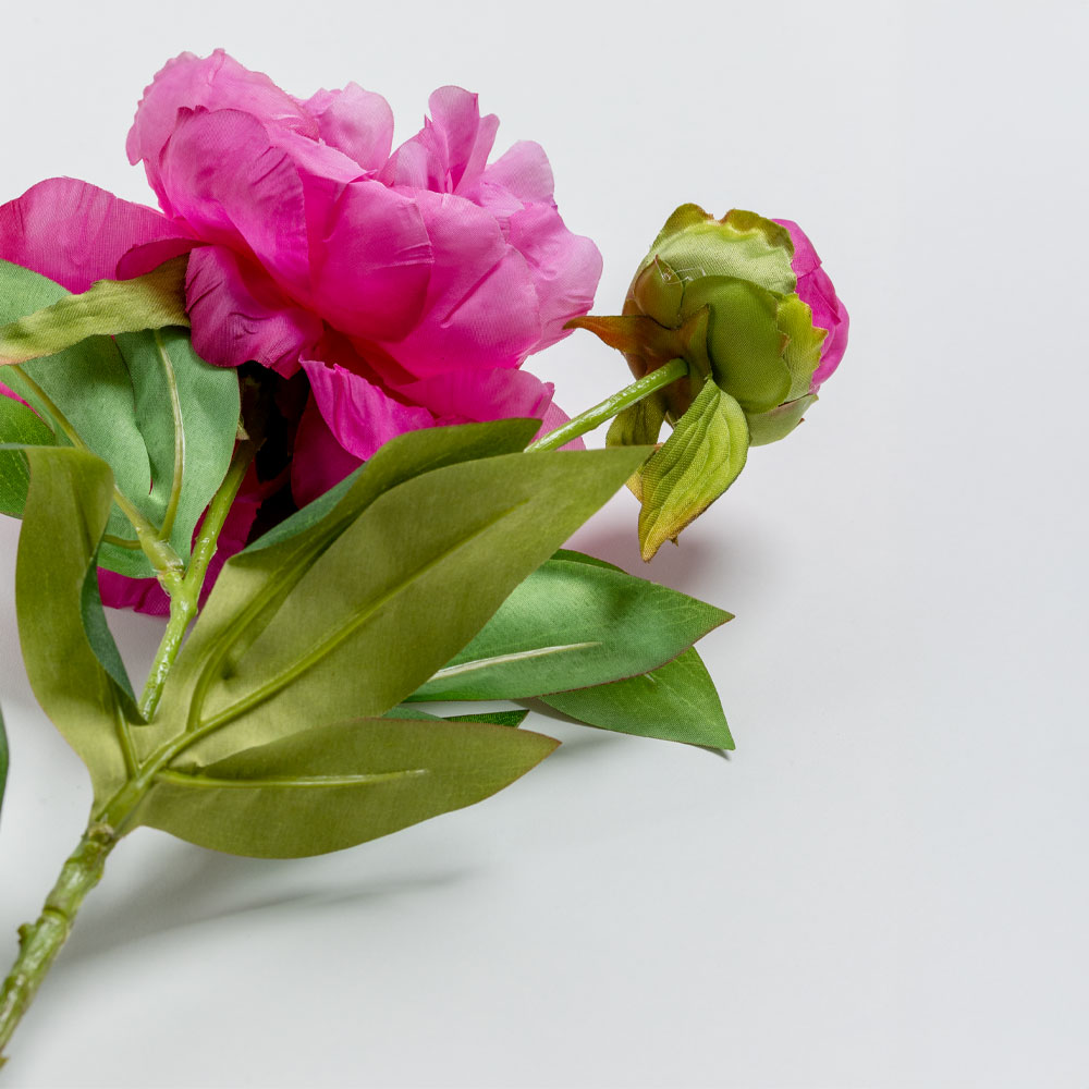 PEONY ΛΟΥΛΟΥΔΙ ΤΕΧΝΗΤΟ 67 POLYESTER ΦΟΥΞΙΑ ΠΡΑΣΙΝΟ