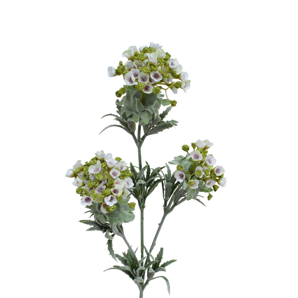 SWEET ALYSSUM ΛΟΥΛΟΥΔΙ ΤΕΧΝΗΤΟ 78 POLYESTER ΛΕΥΚΟ ΜΩΒ ΠΡΑΣΙΝΟ