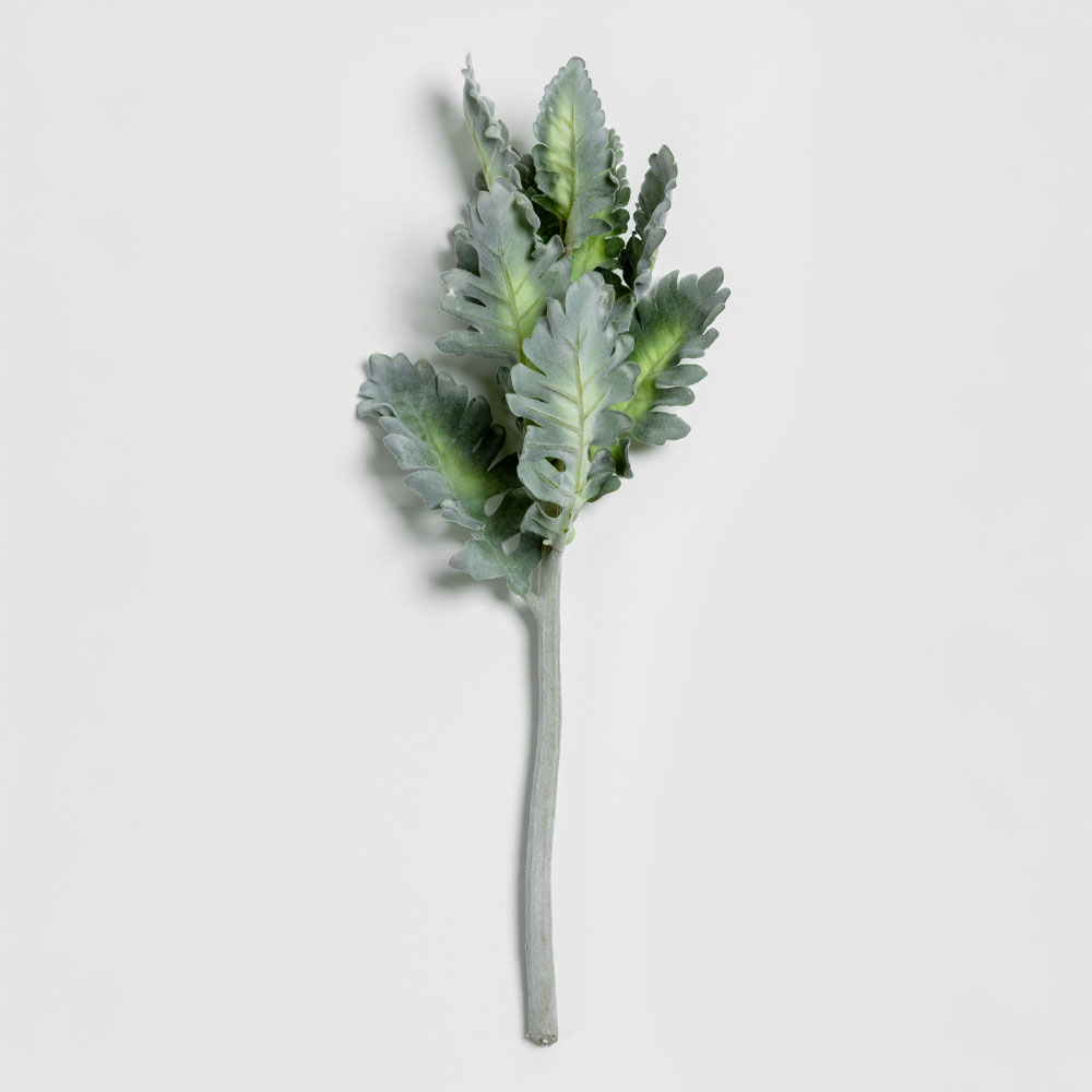 SENECIO CINERARIA ΚΛΑΔΙ ΤΕΧΝΗΤΟ 38 POLYESTER ΠΡΑΣΙΝΟ
