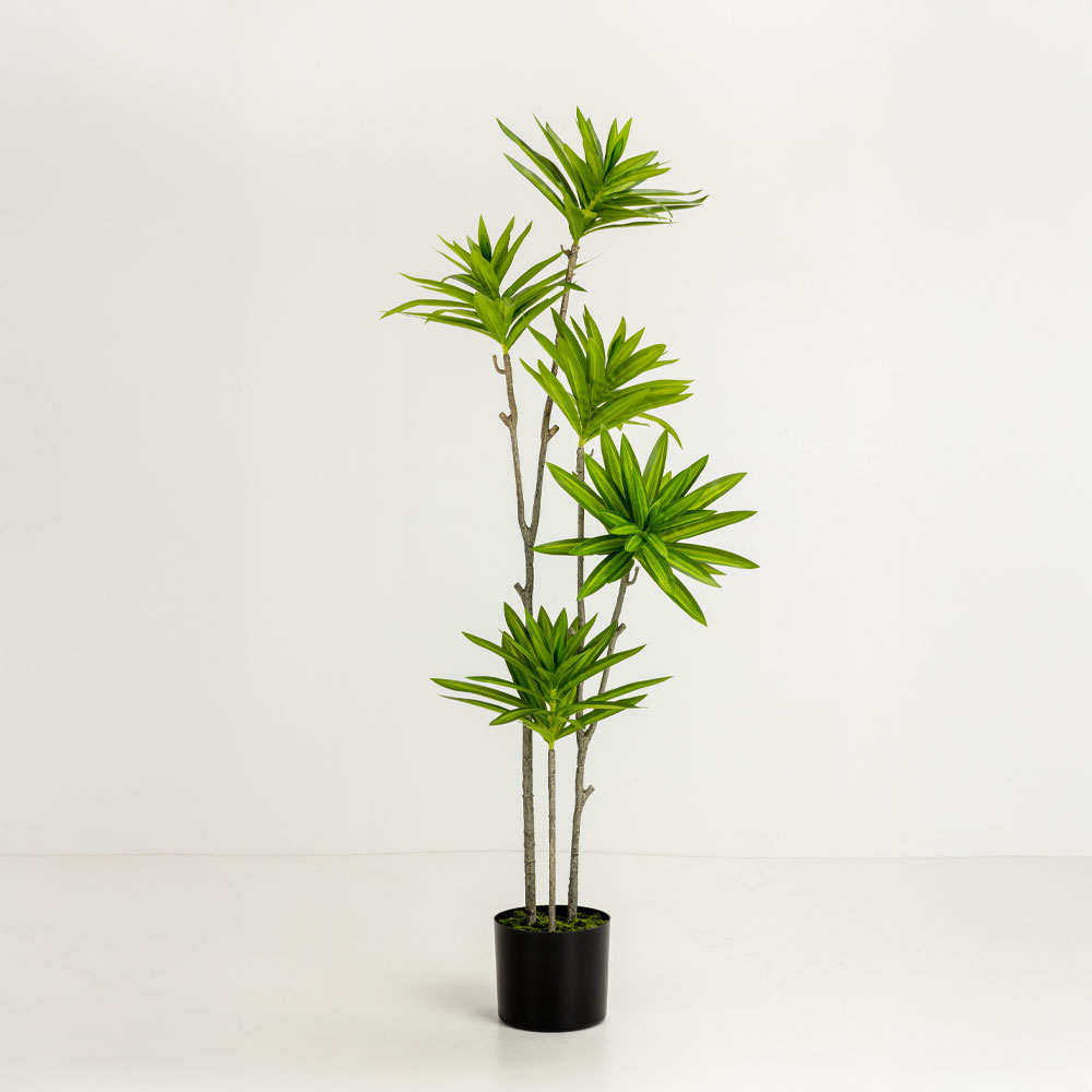 FATSIA ΔΕΝΤΡΟ ΤΕΧΝΗΤΟ ΣΕ ΓΛΑΣΤΡΑ 110 ΥΦΑΣΜΑ ΠΡΑΣΙΝΟ PVC