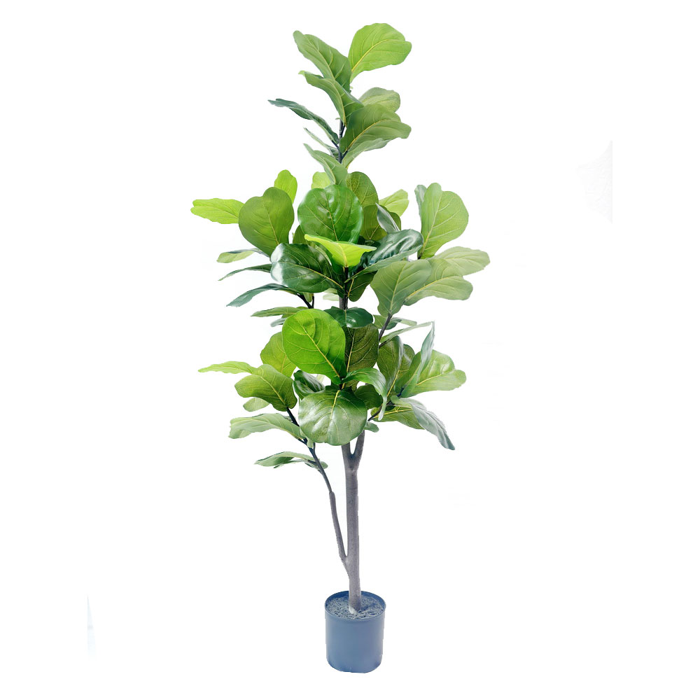 FICUS PANDURATA ΔΕΝΤΡΟ ΤΕΧΝΗΤΟ ΣΕ ΓΛΑΣΤΡΑ 180 ΥΦΑΣΜΑ ΠΡΑΣΙΝΟ PVC