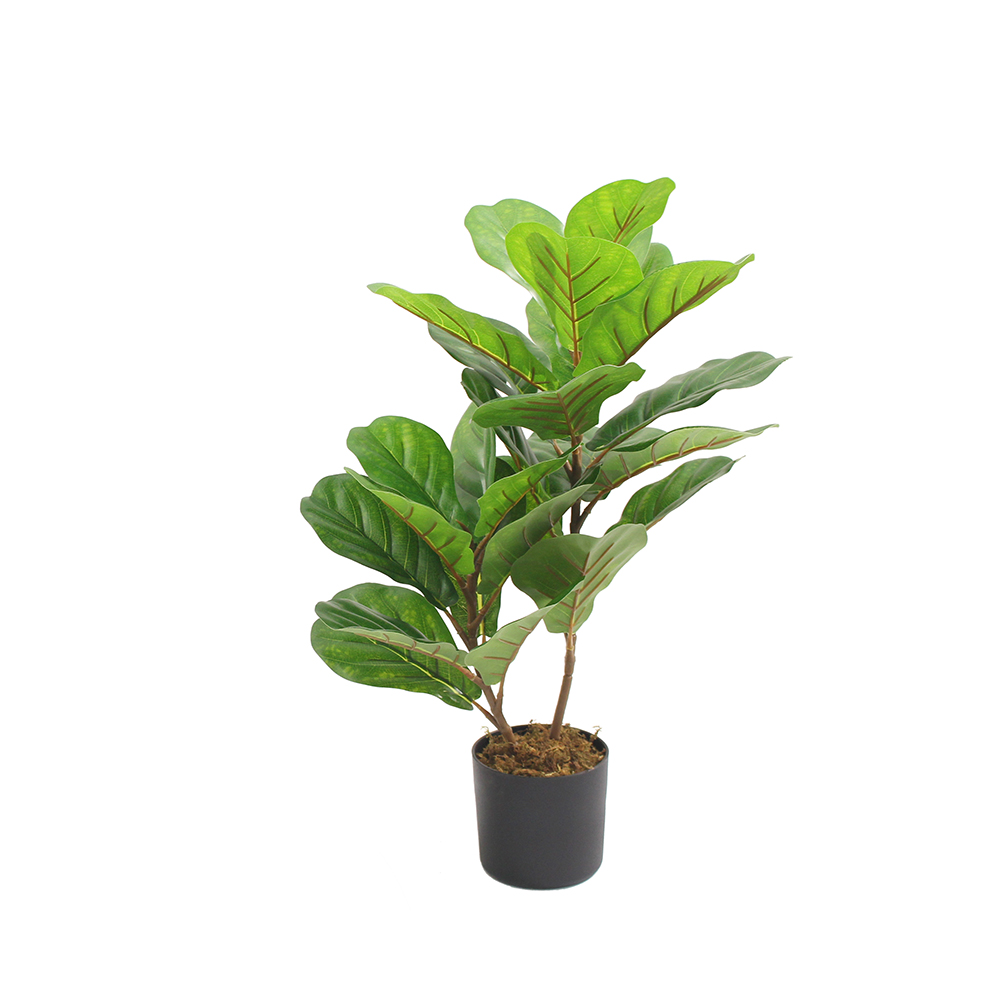 FIDDLE FIG ΔΕΝΤΡΟ ΤΕΧΝΗΤΟ ΣΕ ΓΛΑΣΤΡΑ 65 PEVA ΠΡΑΣΙΝΟ